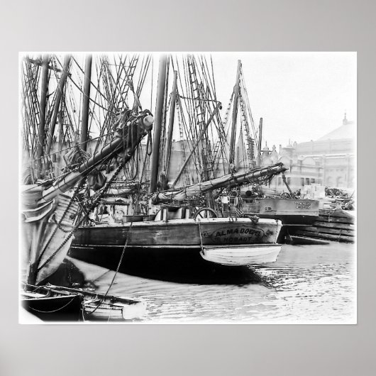 メルボルン、1903年：アルマ・ドエペル ポスター (正面)