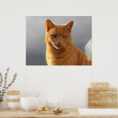 メルリンと球体 ポスター (キッチン)