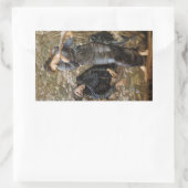 メルリンのヴィヴィアンのビーギリング（エドワード・バーン=ジョーンズ） 長方形シール (バッグ)