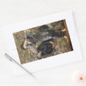 メルリンのヴィヴィアンのビーギリング（エドワード・バーン=ジョーンズ） 長方形シール (封筒)