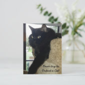 メルリンザキャット引用文 ポストカード (スタンド正面)