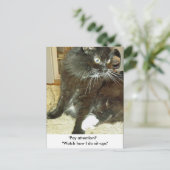 メルリンズシットアップエクササイズはがき ポストカード (スタンド正面)