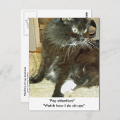 メルリンズシットアップエクササイズはがき ポストカード (正面/裏面)