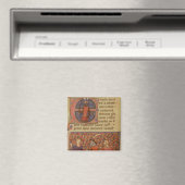 メルリンタトリングアーサー マグネット (インサイチュ (食洗機))