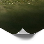 メルリン《鳥》ハヤブサ連行便 ポスター (角)