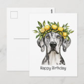 メルル 誕生日おめでとう グレートデーン 犬 レモン クラウン ポストカード (正面/裏面)