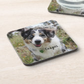 メルレオーストラリア羊飼い子犬 コースター (左側)