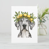 メルレグレートダーンドッグレモンクラウン カード (スタンド正面)