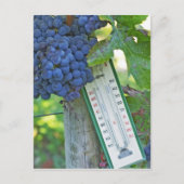 メルロ葡萄でシャトーラグレイブフィゲアック， a ポストカード (正面)