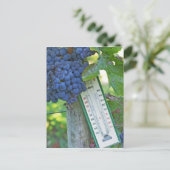 メルロ葡萄でシャトーラグレイブフィゲアック， a ポストカード (スタンド正面)