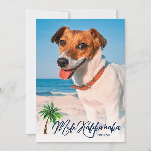 メレカリキマカクリスマストロピカル2写真 シーズンカード (正面)