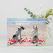 メレカリキマカハワイアンブラシ付きスクリプトフォト シーズンカード (スタンド正面)