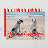 メレカリキマカハワイアンブラシ付きスクリプトフォト シーズンカード (正面/裏面)