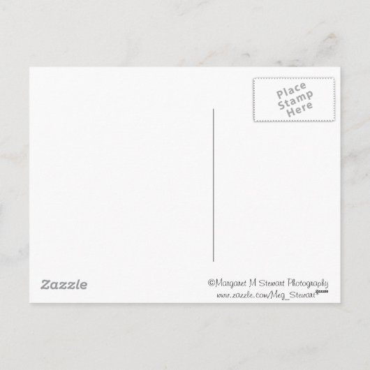 メレカリキマカビーチキクリスマスポストカード シーズンポストカード (裏面)