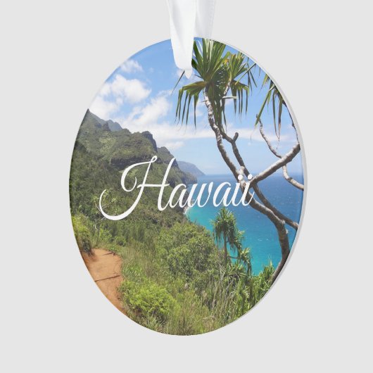 メレカリキマカメリークリスマスハワイキープサケ オーナメント (正面)