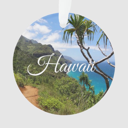 メレカリキマカメリークリスマスハワイキープサケ オーナメント (正面)