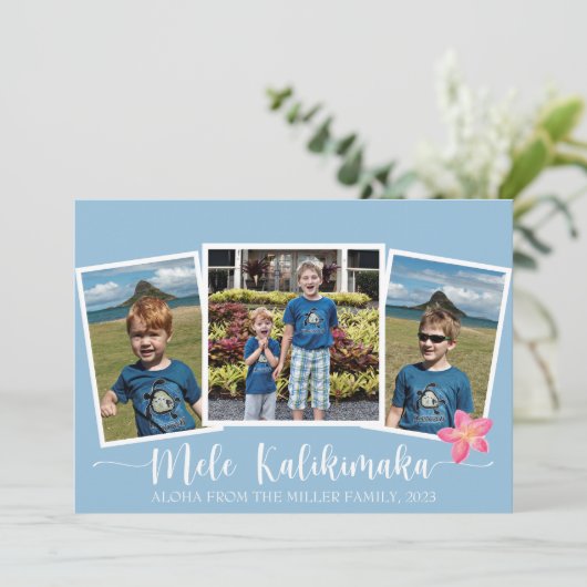 メレカリキマカメリークリスマスプルメリア シーズンカード (スタンド正面)