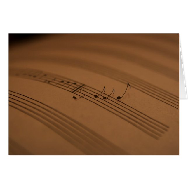 メロディー (正面横)