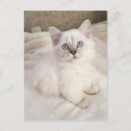 メロディー ポストカード