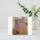 メロドラマ(SOAP)キャッツのはがき ポストカード (スタンド正面)