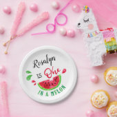 メロンに入った人 ペーパープレート (パーティー)