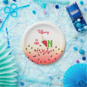 メロンのスイカの実に1つ ペーパープレート (パーティー)