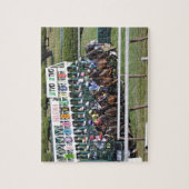 メロンの泥炭 ジグソーパズル (縦)