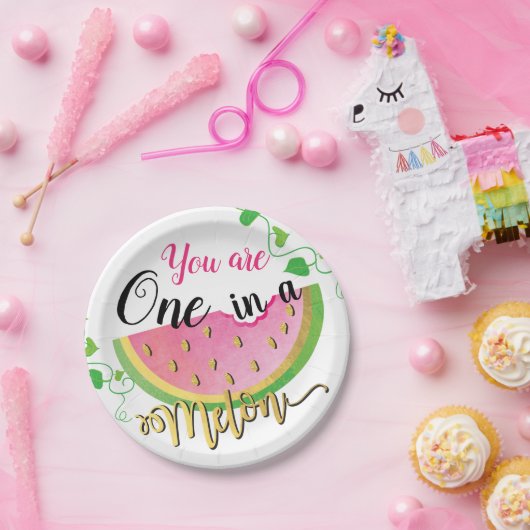 メロンの誕生日のスイカの紙皿の1つ ペーパープレート (パーティー)