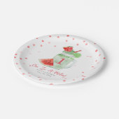 メロンの誕生日パーティーのスイカのスムージーに1つ ペーパープレート (アングル)