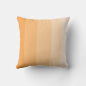 メロンカンタルーペグラデーションストライプ クッション (裏面)