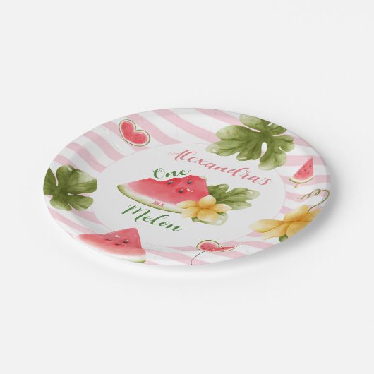 メロンガールファースト誕生日 ペーパープレート (アングル)