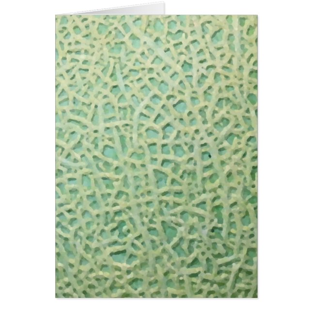 メロンパターン (正面)