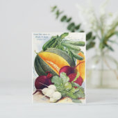メロンフルーツシードガーデンヴィンテージ葉書 ポストカード (スタンド正面)