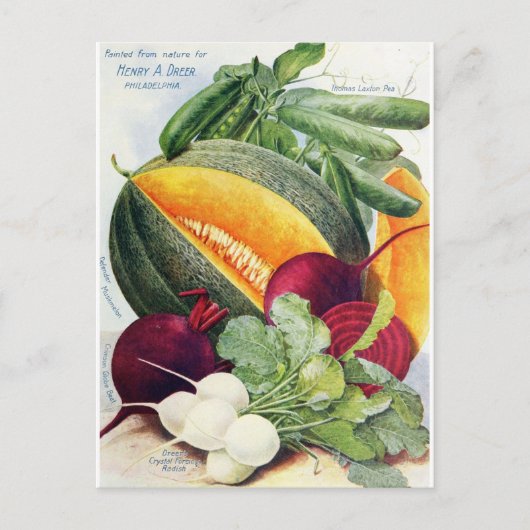 メロンフルーツシードガーデンヴィンテージ葉書 ポストカード (正面)