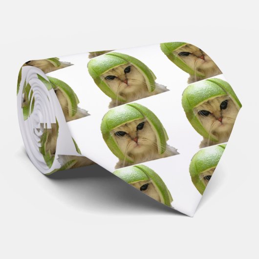 メロン猫 ネクタイ (ロール)