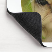 メロン猫 マウスパッド (コーナー)