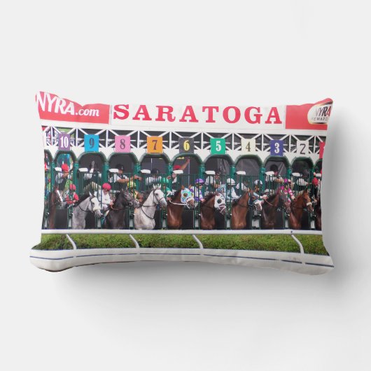 メロン·ターフ ランバークッション (正面)