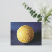 メロン ポストカード (スタンド正面)