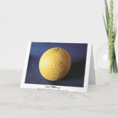 メロン/メロン カード (裏面)