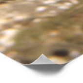 メローモレー ポスター (角)