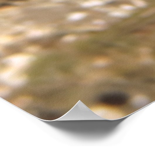 メローモレー ポスター (角)