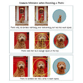 メンズギフトファーザーデーパーソナライズされたドッグフォト顔 ソックス