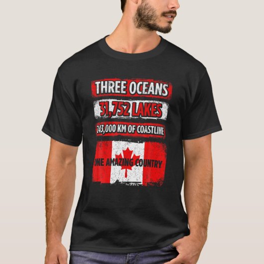 メンズスリーオーシャン31,752湖243,000 KM Tシャツ (正面)