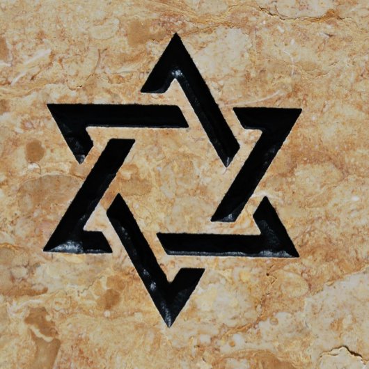 メンズラージTシャツ Tシャツ