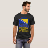 メンズヴィンテージボスニアのおじいちゃんボスニア国旗 Tシャツ (正面フル)