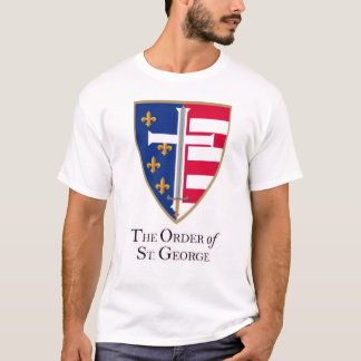 メンズ ベーシックTシャツ Tシャツ
