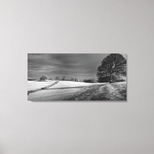 メンディップビュー キャンバスプリント (正面)