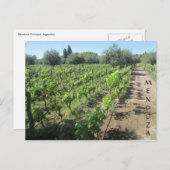 メンドーザブドウ園 ポストカード (正面/裏面)