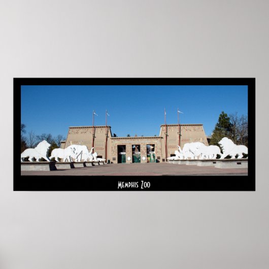 メンフィス動物園 ポスター (正面)