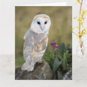 メンフクロウおよびFoxglove カード (黄色い花)